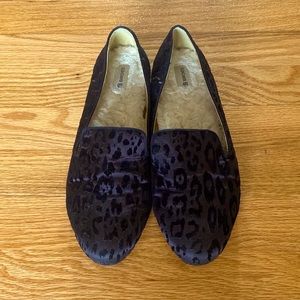 Birdies Size 8 the Starling